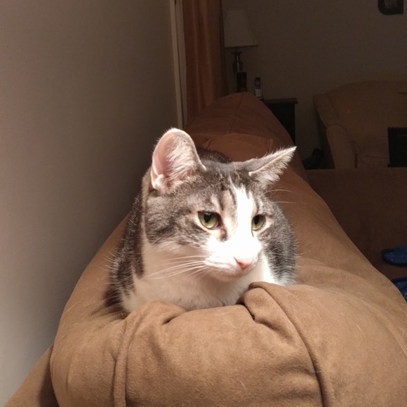 Meet your Posher, Shelley - Picture 1 of 1